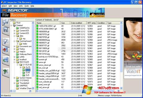 ภาพหน้าจอ PC Inspector File Recovery สำหรับ Windows 7