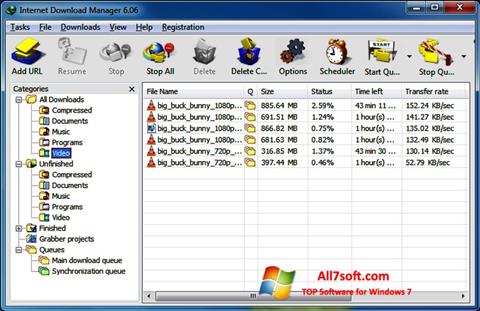 ภาพหน้าจอ Internet Download Manager สำหรับ Windows 7